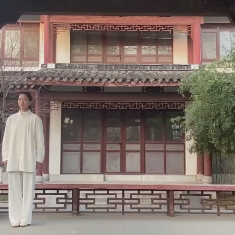 Taijiquan Silk Reeling Technique 1-43 Chapters
